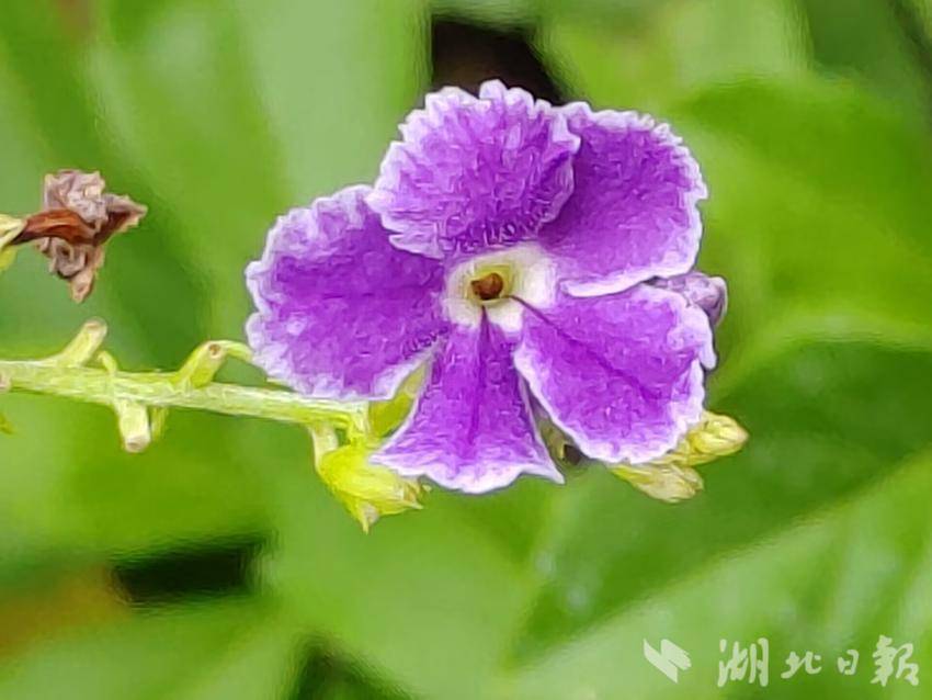 众发游戏怎么关了